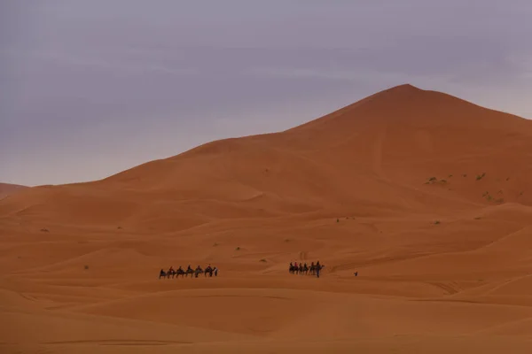 Дюны Пустыне Сахара Марокко — стоковое фото