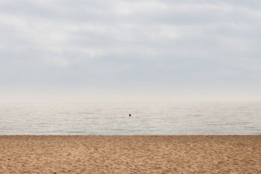 Yazın kıyı manzarası