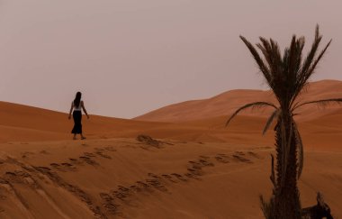 Fas 'taki çöl manzarası