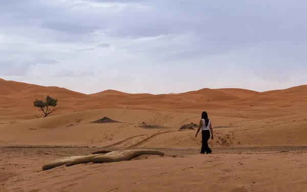 Вид Пустыню Морали — стоковое фото