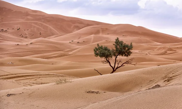 Άποψη Της Ερήμου Morocco — Φωτογραφία Αρχείου