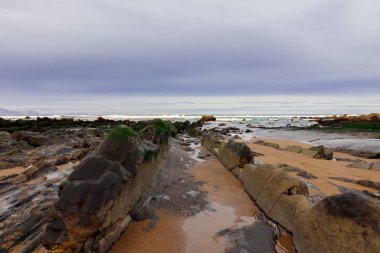 Bask ülkesindeki sahilde sineklik.
