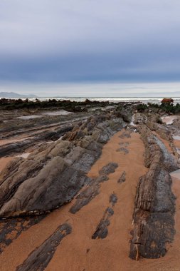 Bask ülkesindeki sahilde sineklik.