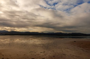 Sahildeki sakin manzara