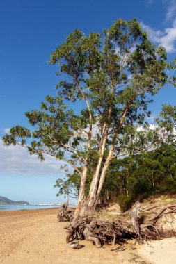 İspanya 'nın kuzeyindeki maliyetin görüntüsü