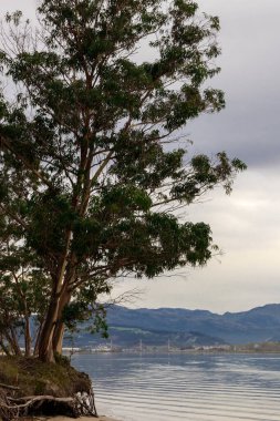 İspanya 'nın kuzeyindeki maliyetin görüntüsü