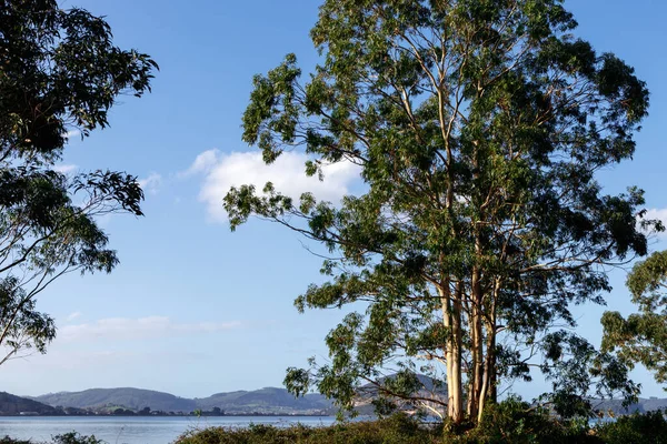 Vista Del Coste Norte España — Foto de Stock