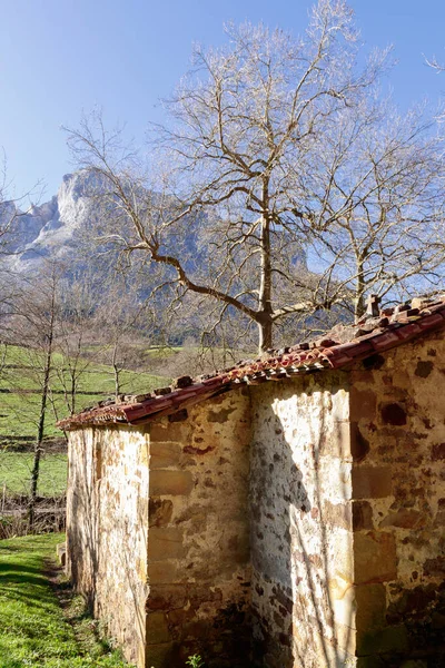 Dağlardaki Panoramik Manzara — Stok fotoğraf