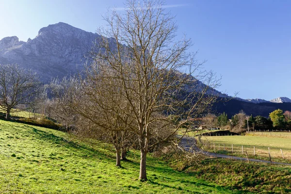 Panoramatická Krajina Horách — Stock fotografie