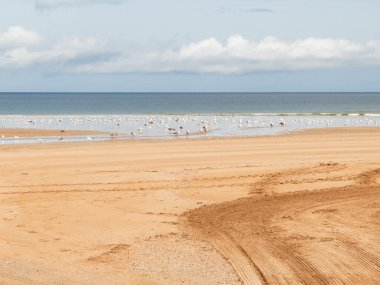 İspanya 'nın kuzeyinde deniz kenarı