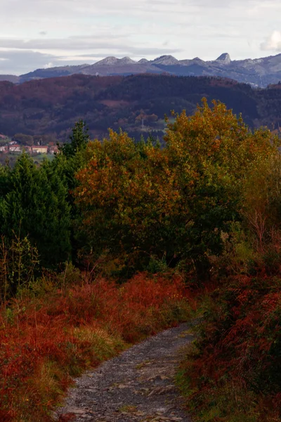 Sonbaharda Dağda Manzara — Stok fotoğraf