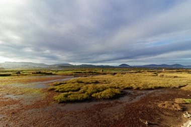 Gün batımında kumsal manzarası