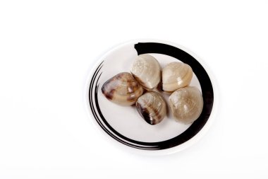 kabukları üzerinde beyaz arka plan disk 