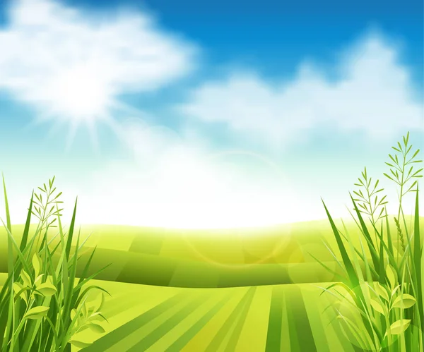 Πράσινο αγρόκτημα πεδίο — Διανυσματικό Αρχείο
