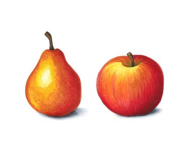 Elma ve armut beyaz zemin üzerinde. Alkol mar yapılan eskiz