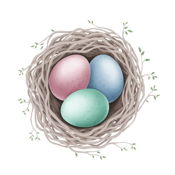 白色背景的鸟巢中的复活节彩蛋 数码图解 — 图库照片