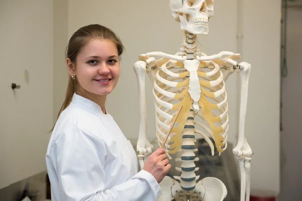 Medico e scheletro — Foto Stock