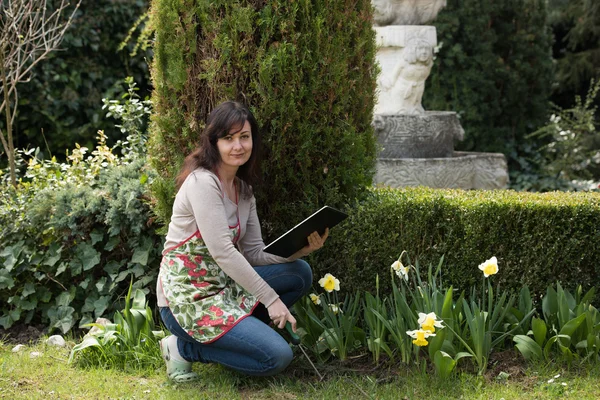 Kobieta pracuje w ogrodzie — Zdjęcie stockowe