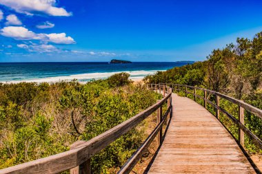 Güzel denizin sahiline giden ahşap bir patika.