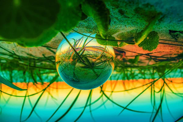 Hermoso Tiro Enfoque Selectivo Una Bola Cristal Que Refleja Impresionante — Foto de Stock