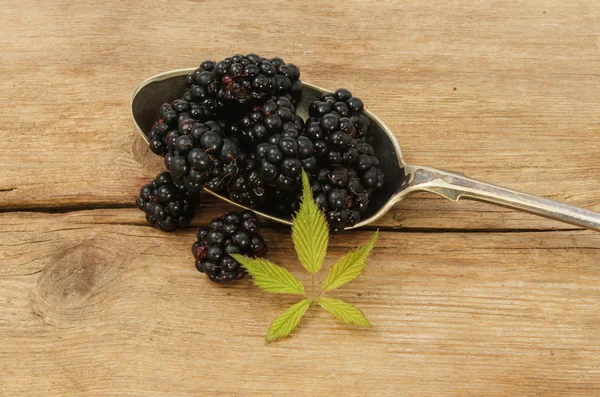 Reife Brombeeren in einem Löffel — Stockfoto