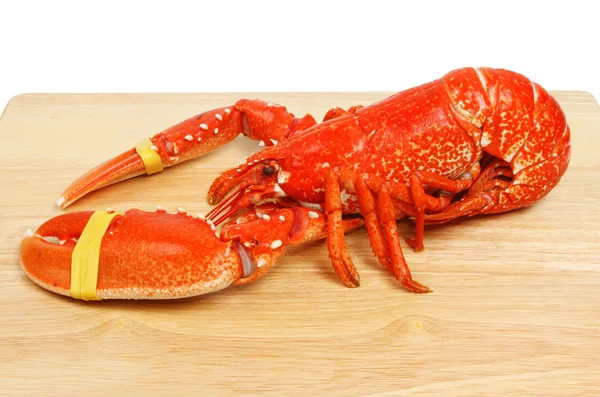 Whole cooked lobster — Stock Photo, Image