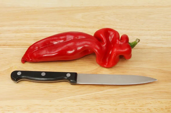 Paprika süß — Stockfoto