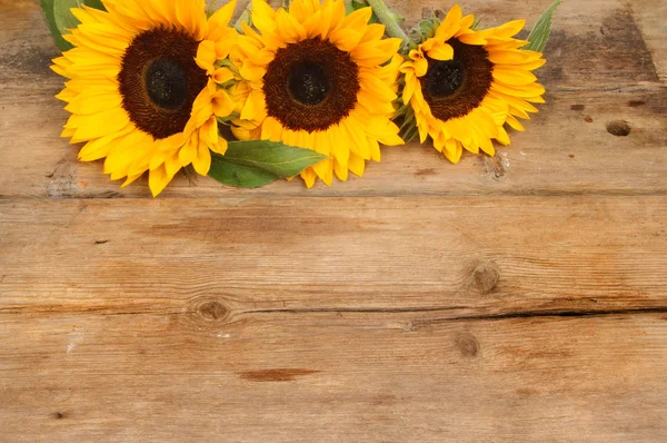Beautiful bouqet of Sunflowers — Stock Photo, Image