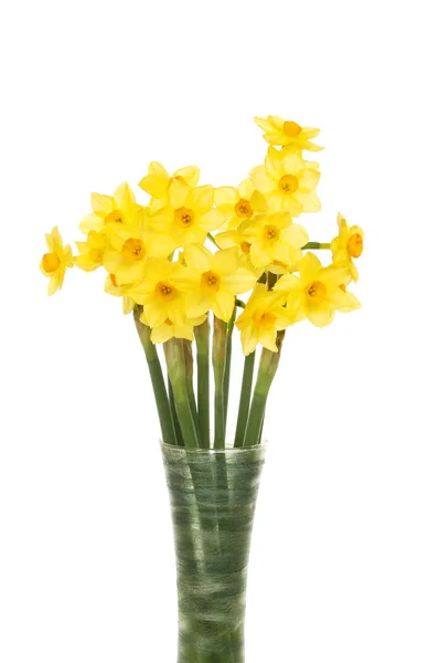 Påsklilja blommor i en vas — Stockfoto