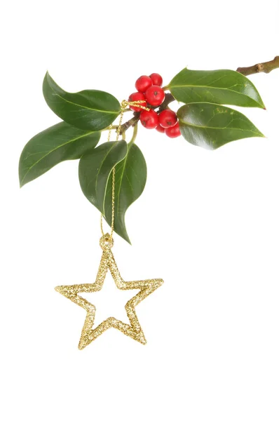 Glitter julstjärna och holly — Stockfoto