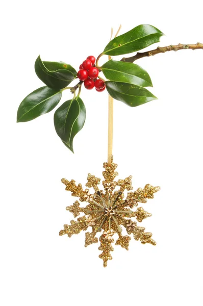Glitter Christmas star and holly — Stock Photo, Image