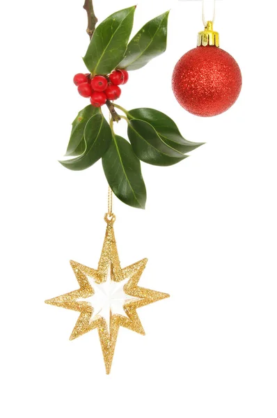 Glitter julstjärna och holly — Stockfoto