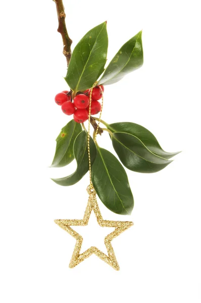 Brilho estrela de Natal e azevinho — Fotografia de Stock