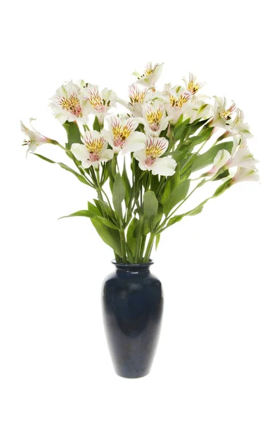 Αλστρομέριες λουλούδια σε ένα βάζο — Φωτογραφία Αρχείου