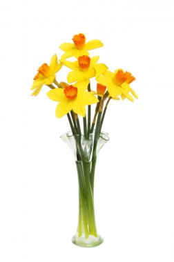 Nergis bir vazo aranjman