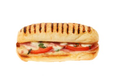 Beyaz karşı izole Pannini