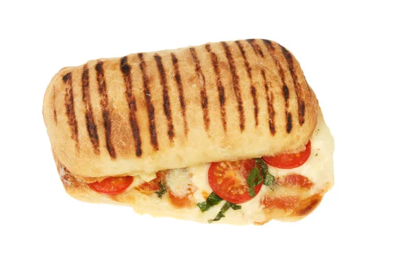 Cheese and tomato panini — Stock Photo, Image