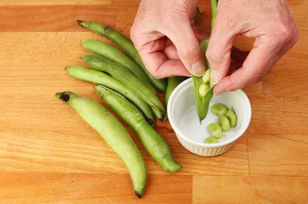 Hands shelling beans — Stock Photo, Image
