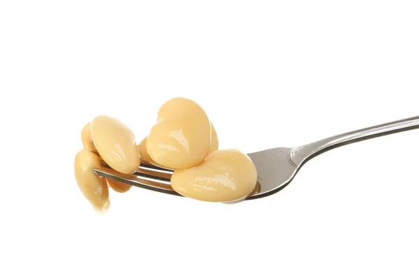 Feijão de manteiga em um garfo — Fotografia de Stock