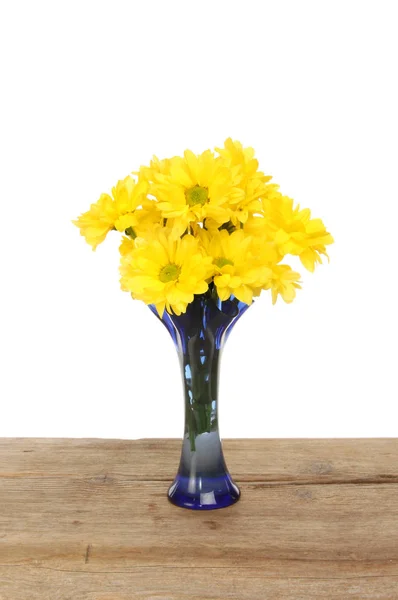 Bos chrysant bloemen — Stockfoto