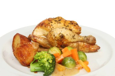 tavuk yemeği portre