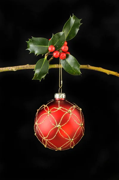 Holly and bauble against black — Stock Photo, Image