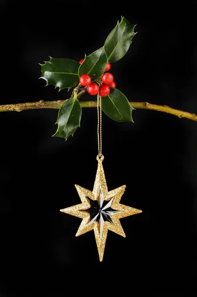 Holly and gold star against black — Stock Photo, Image