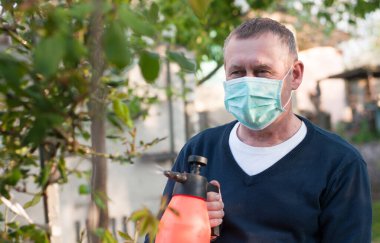 Orta yaşlı Avrupalı bir adam güneşli bir bahar gününde arka planda ameliyat maskesiyle bitkilere sprey sıkar.