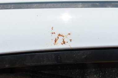 Kuş boku arabanın üzerine sıçrıyor. Araba bakımı, temizlik hizmeti veya garaj konsepti