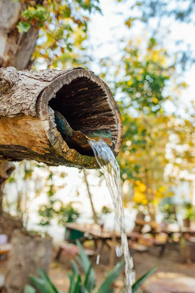 Natural wooden tree fountain. Mountain spring water flowing out of wooden gutter from rocky creek. Water Fountain Carved from Wood or tree in natural national park or garden.