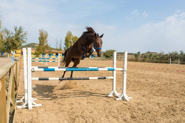 Fotos de Barras de obstáculos para el evento de salto de caballo