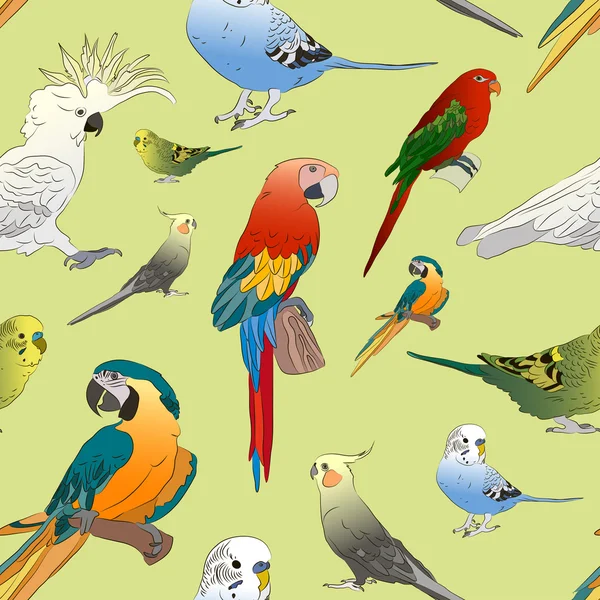 Parrots set pattern — Stock Vector