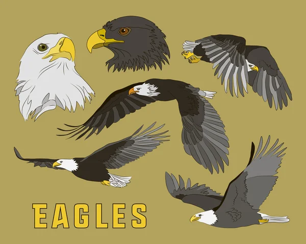Conjunto de águilas — Archivo Imágenes Vectoriales