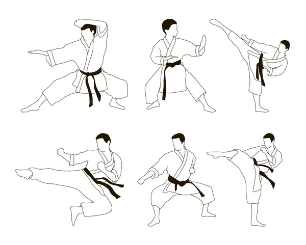 Set di icone di karate — Vettoriale Stock